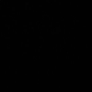 Meet your Posher, Alexia